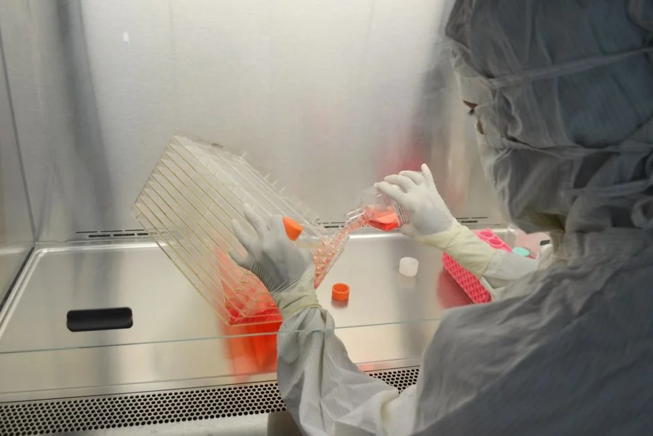 Regenerative medicine Tokyo: stem cell vs exosome  — Regenerative Medicine in Tokyo: Stem Cell Therapy, Exosome T