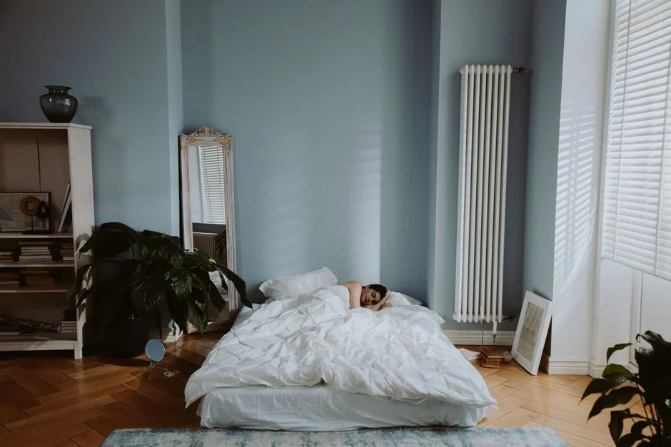 melatonin in japan — When to Take It — The Timing That Matters melatonin in japan — When to Take It — The Timing That Matters
