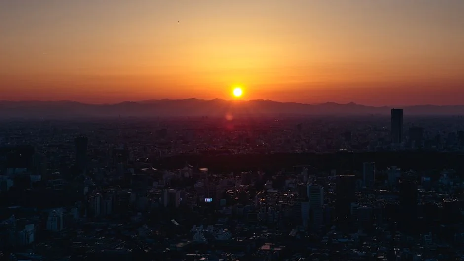 melatonin in japan — What you'll learn in this article