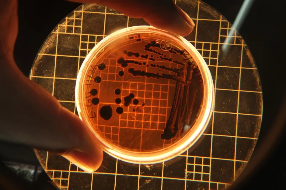 Gut microbiome testing Tokyo: what it reveals abou — Gut Microbiome Testing: Cost in Tokyo Gut microbiome testing Tokyo: what it reveals abou — Gut Microbiome Testing: Cost in Tokyo