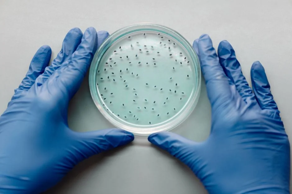 Regenerative medicine Tokyo: stem cell vs exosome — Side-by-Side Comparison Regenerative medicine Tokyo: stem cell vs exosome — Side-by-Side Comparison