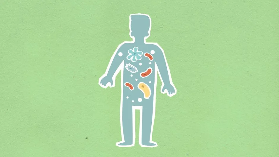 Gut microbiome testing Tokyo: what it reveals abou — What to Expect: Before, During, and After Testing Gut microbiome testing Tokyo: what it reveals abou — What to Expect: Before, During, and After Testing
