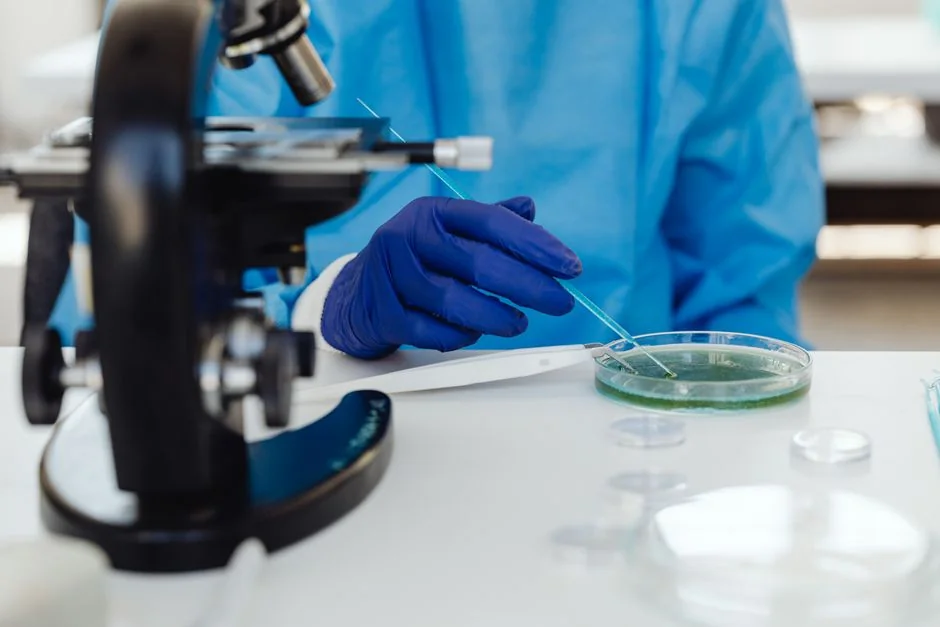 Gut microbiome testing Tokyo: what it reveals abou — Who Is a Good Candidate for Gut Microbiome Testing Gut microbiome testing Tokyo: what it reveals abou — Who Is a Good Candidate for Gut Microbiome Testing