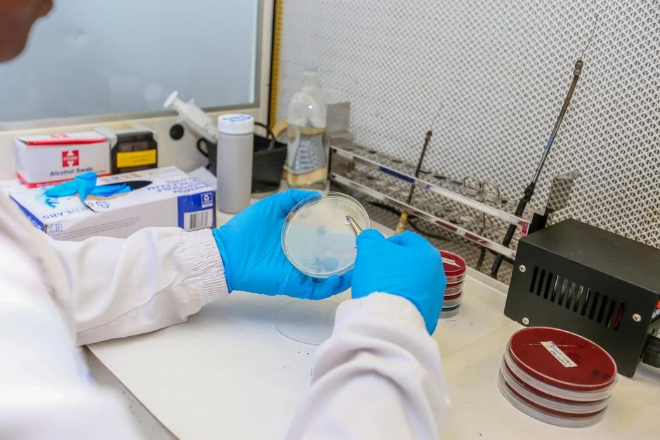 Regenerative medicine Tokyo: stem cell vs exosome  — Expected Results and What the Research Shows