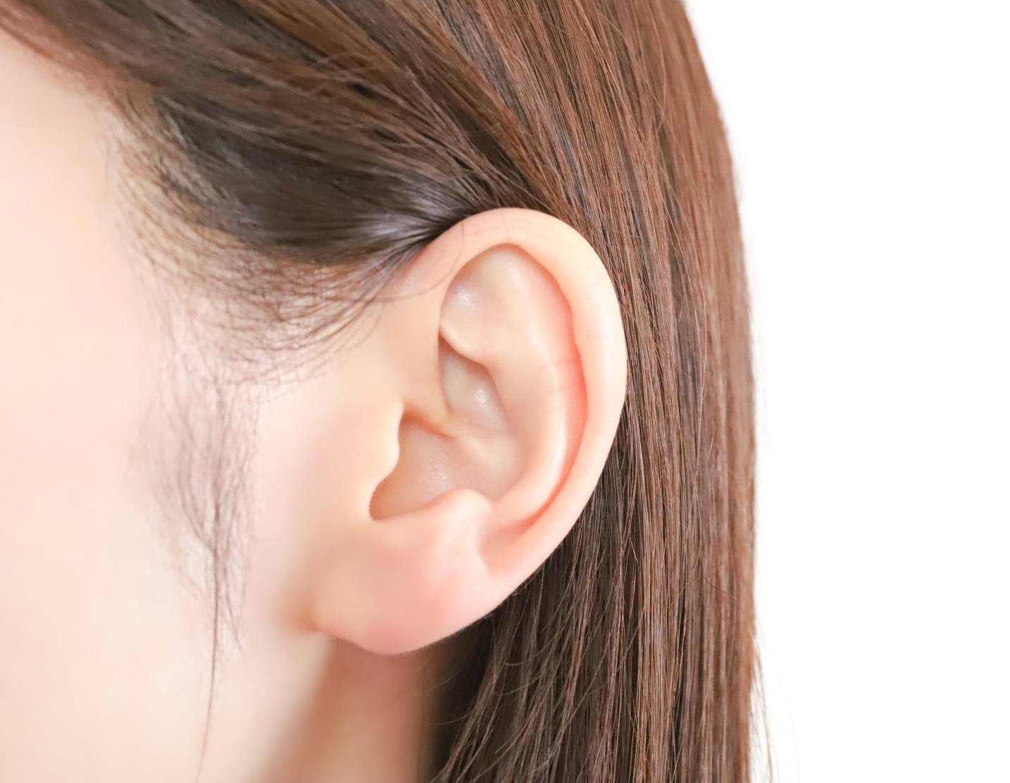耳介の形成外科 | www.regionnitra.sk